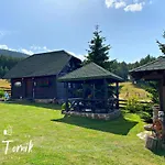 Vila Tornik