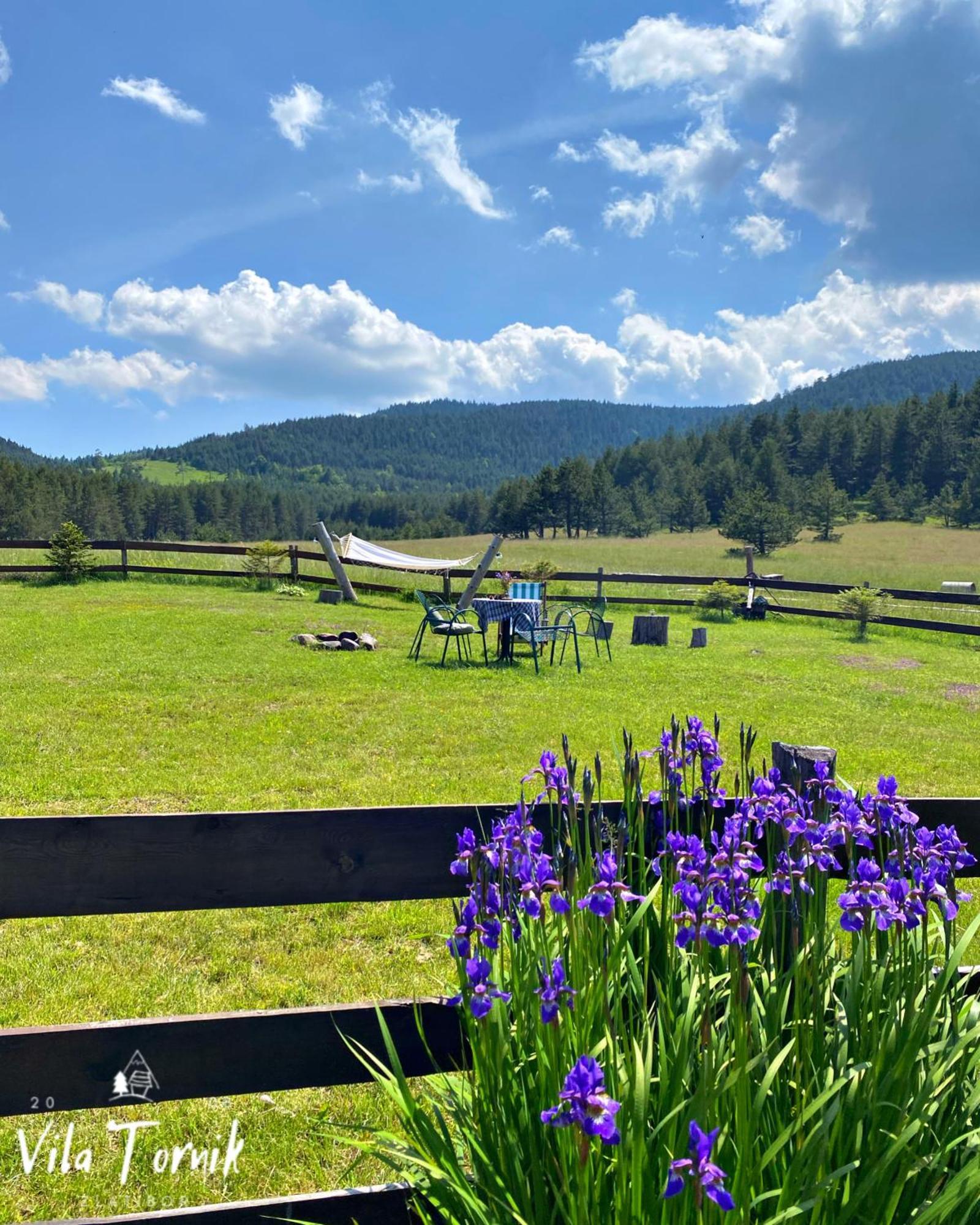 Tornik * Zlatibor